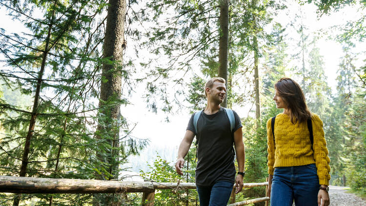 Montseny: natura en estat pur