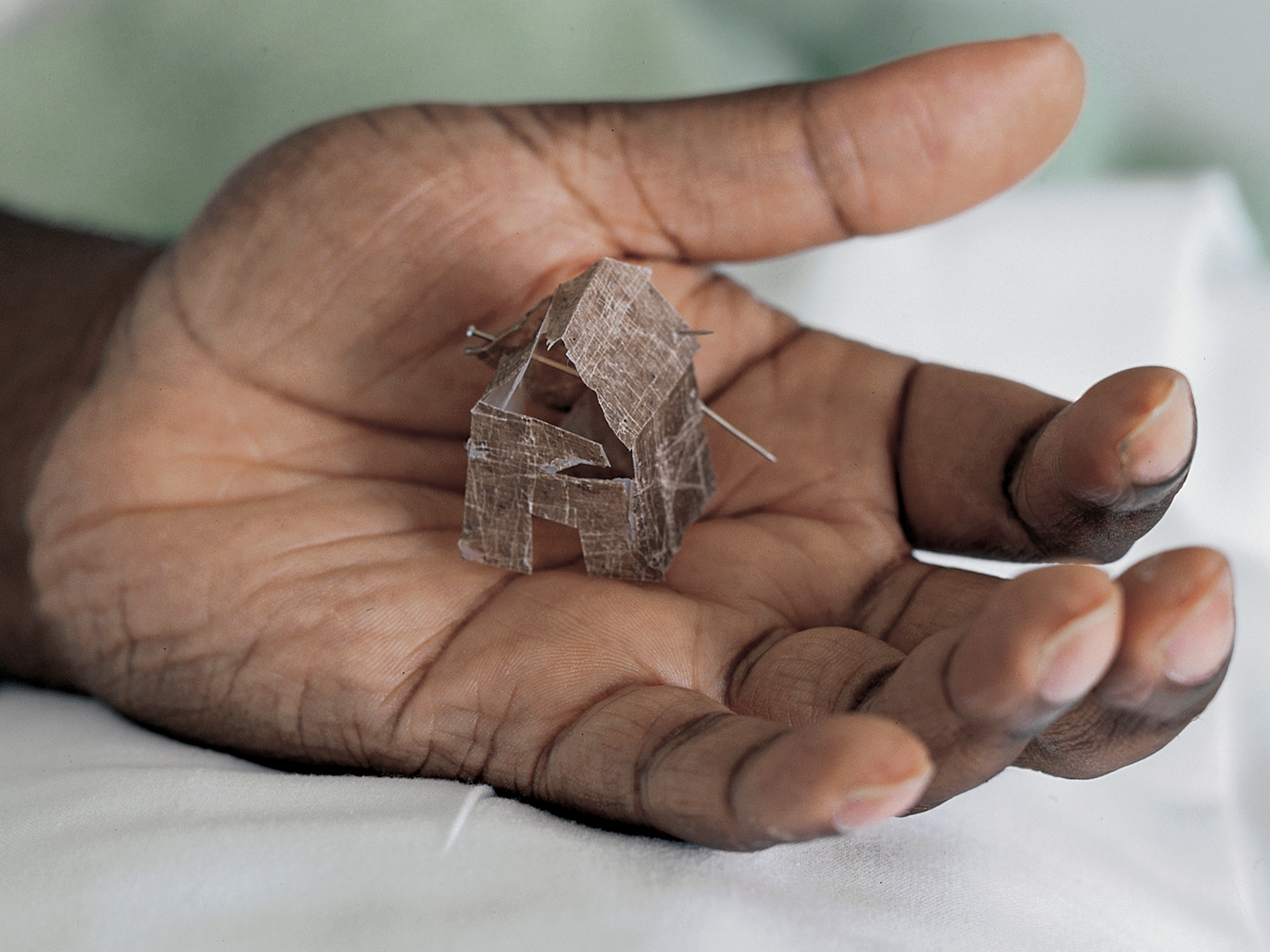 Donald Rodney, In the House of My Father, 1997, Image © The Donald Rodney Estate