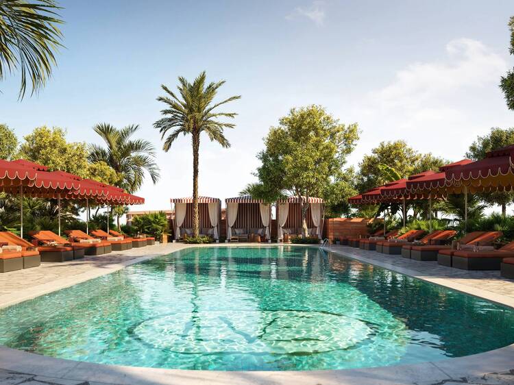 Rooftop pool surrounded by palms and cabanas