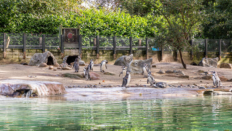 London Zoo