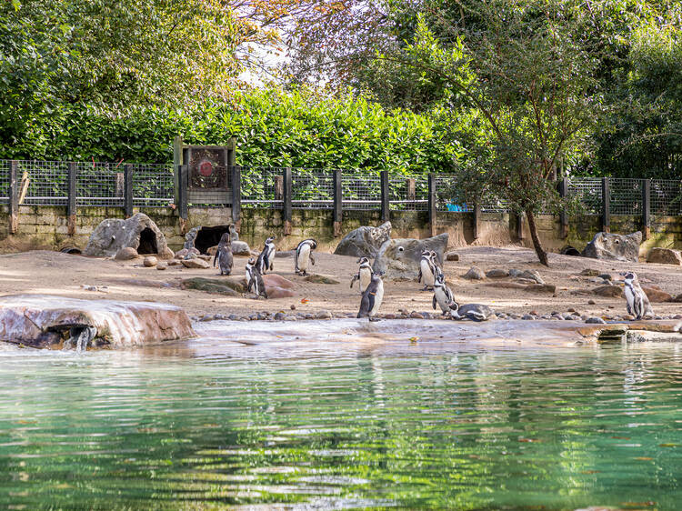 London Zoo