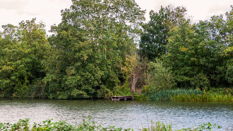 Walthamstow Wetlands