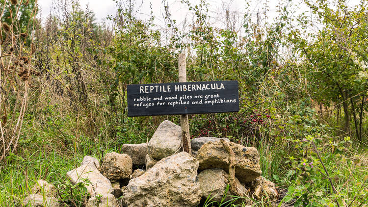 Walthamstow Wetlands