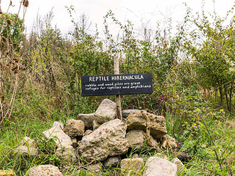 Walthamstow, East London