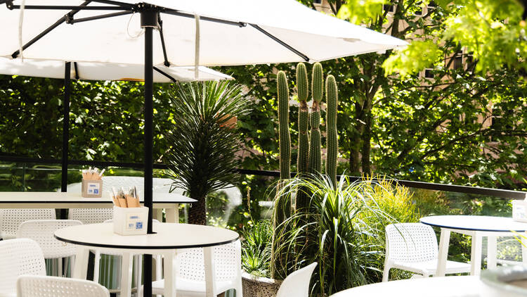 An outdoor bar terrace with plants and sunshine