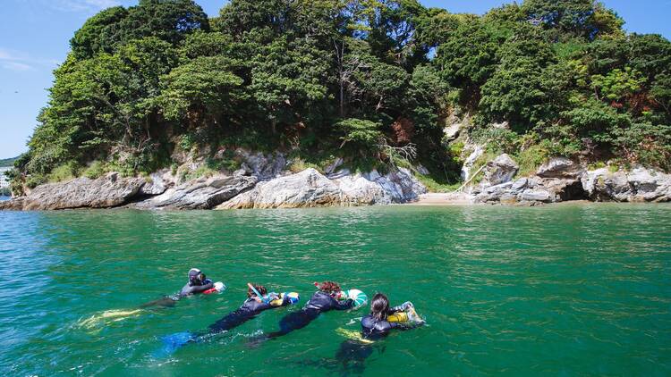 Diving for marine delicacies in Ise-Shima