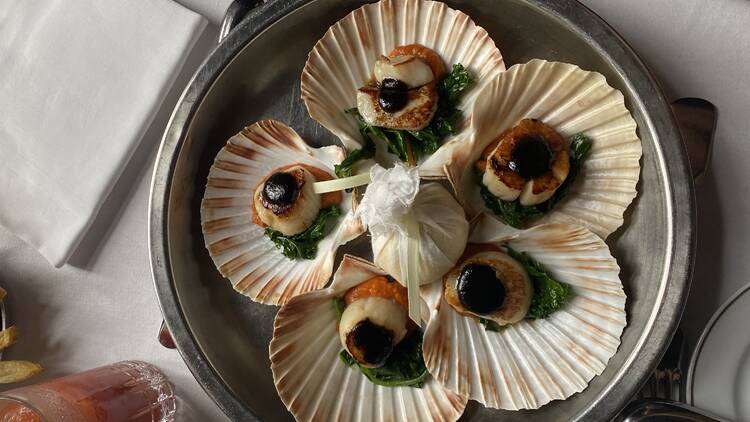 A plate of scallops (Photograph: Chiara Wilkinson)