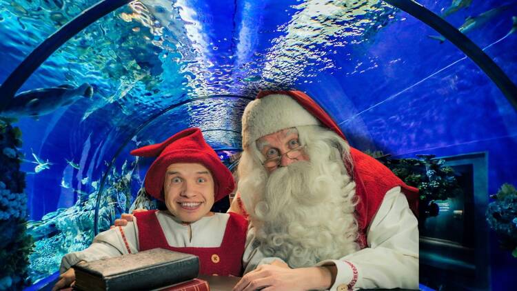 Cuento de Navidad Bajo el Mar en el Acuario Inbursa 2024