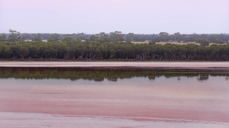 Pink Lake, Dimboola