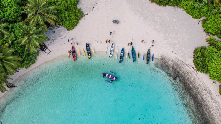 Go on a motorised canoe tour