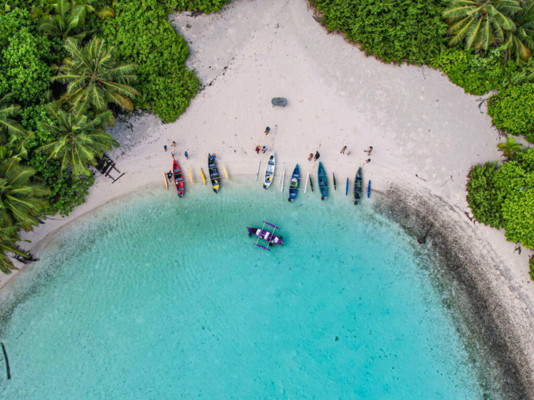 Go on a motorised canoe tour