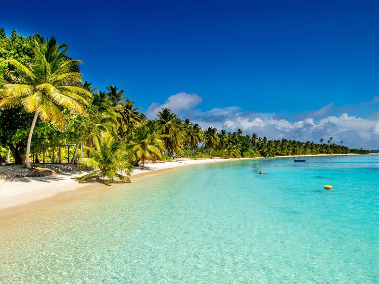 Palm-fringed beach