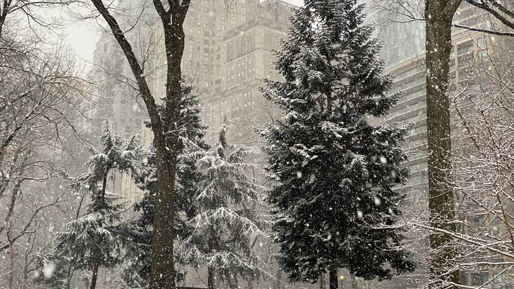 Snowy NYC