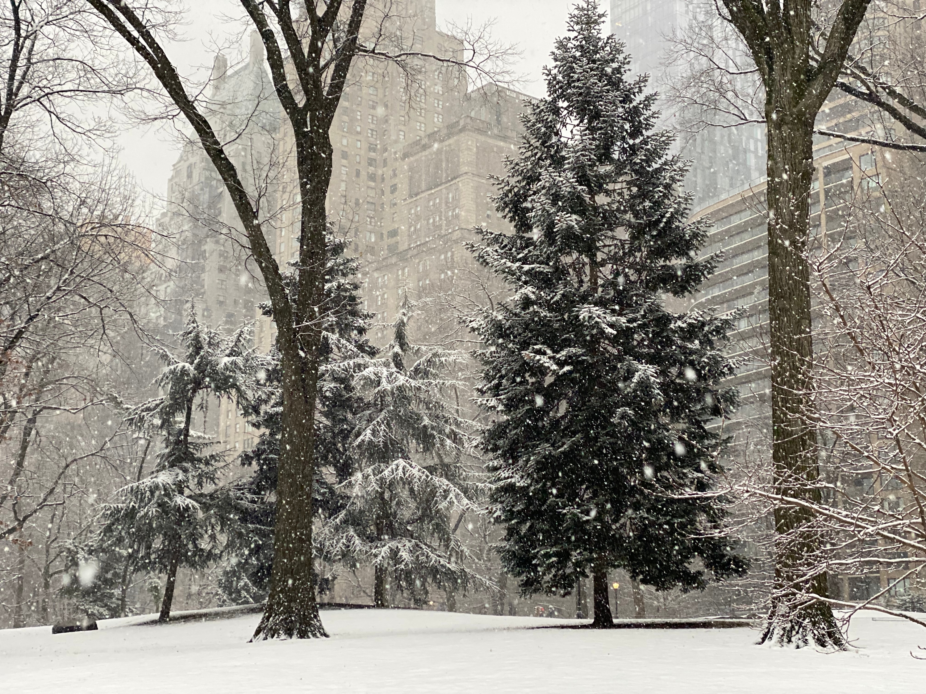 It might snow in NYC this Wednesday!