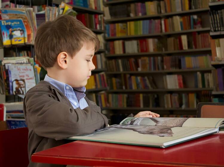 niño leyendo un libro en una librería infantil