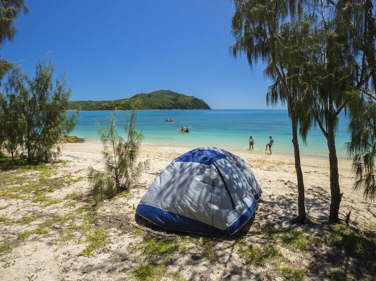 Tent on Steens Beach, Hook Island