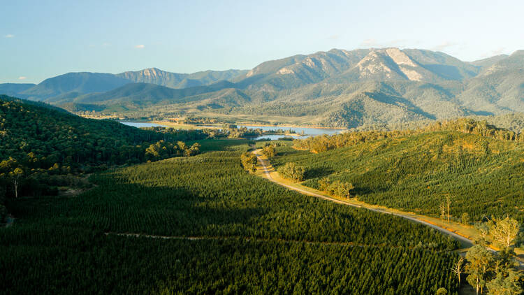 Bike riding in the High Country - King Valley