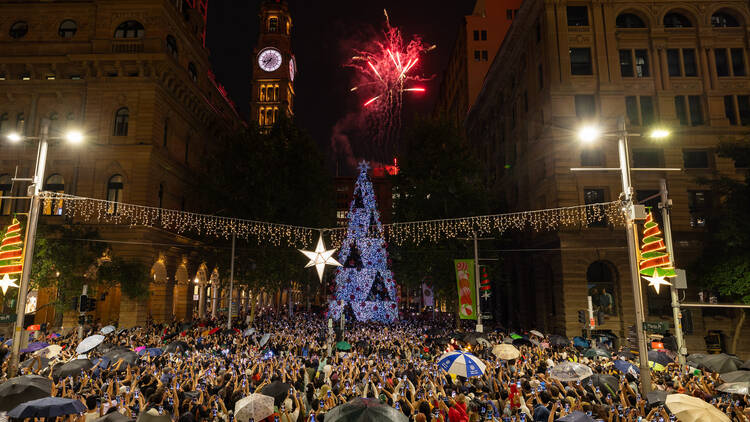 Martin Place christmas tree