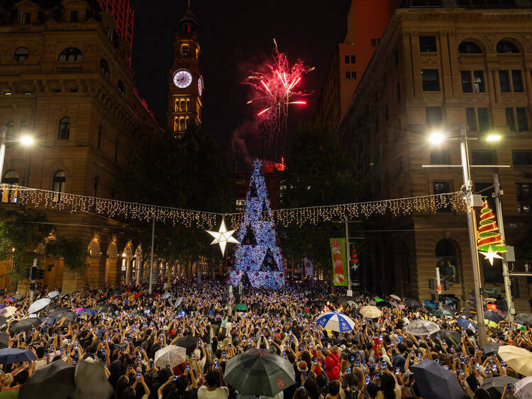 Martin Place christmas tree