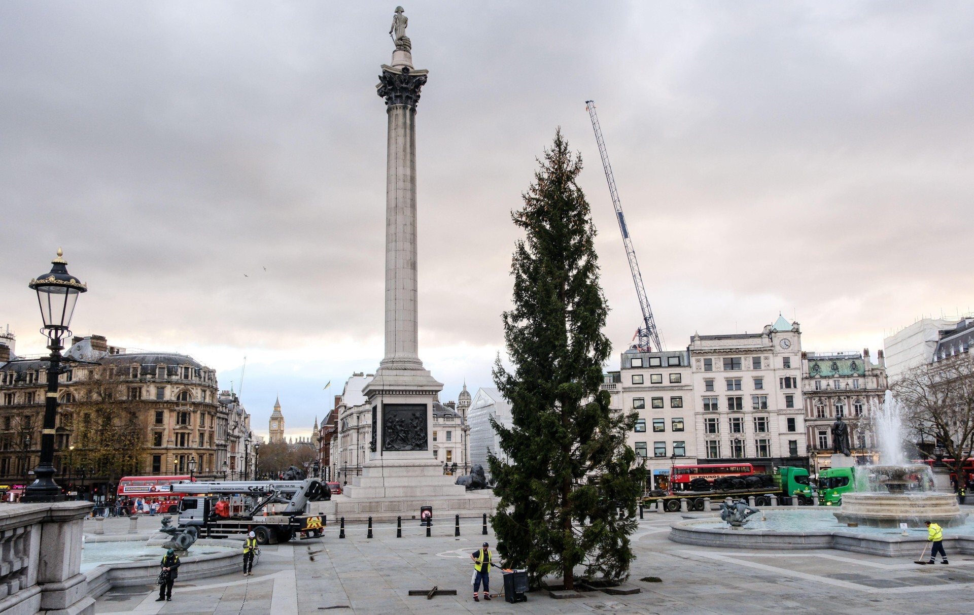 The Trafalgar Square Christmas Tree Is Up For 2024 and Getting Mixed