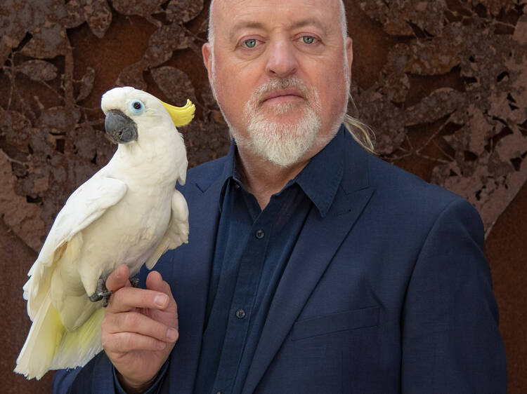 Bill Bailey: Thoughtifier