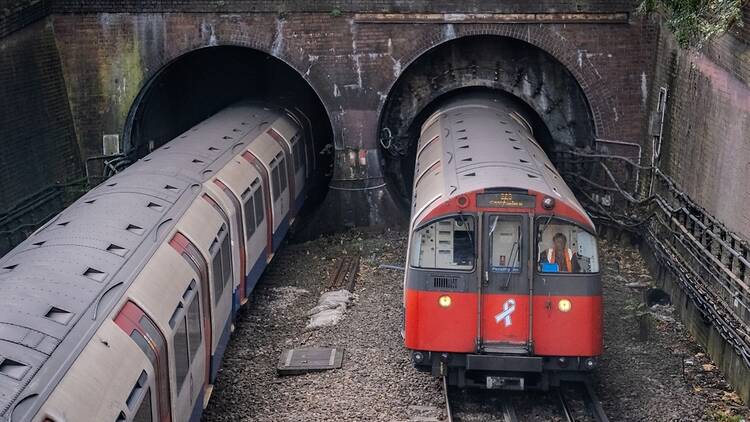 London tube trains in November 2024