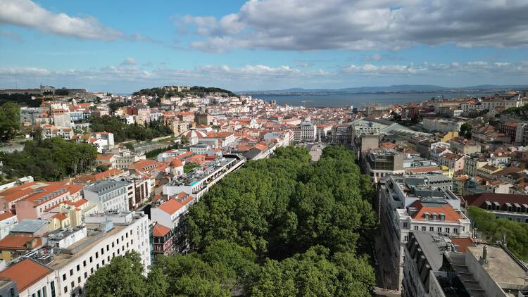 Avenida da Liberdade