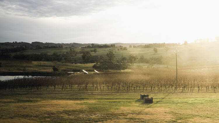 Central NSW