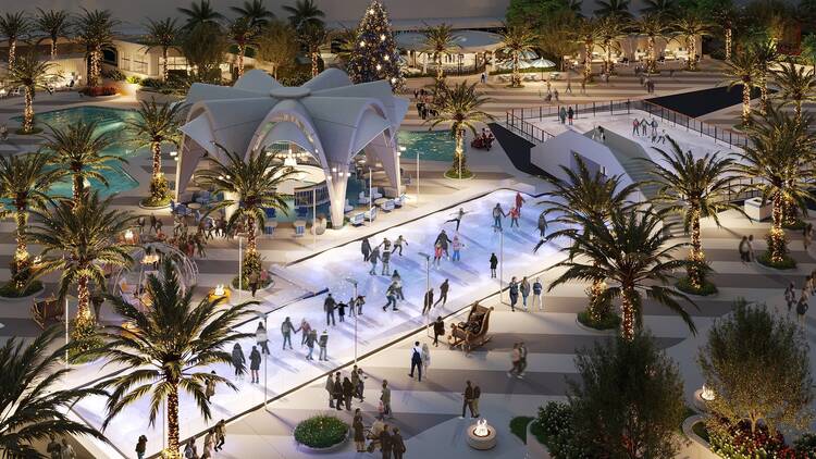 Oasis Ice Rink