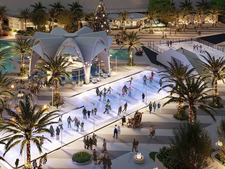 Oasis Ice Rink