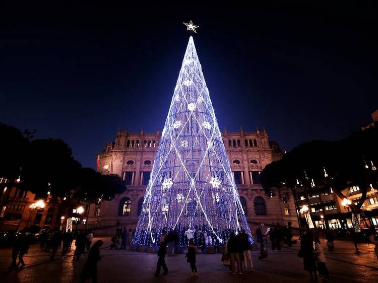 A árvore de Natal gigante do Porto está localizada na Avenida dos Aliados