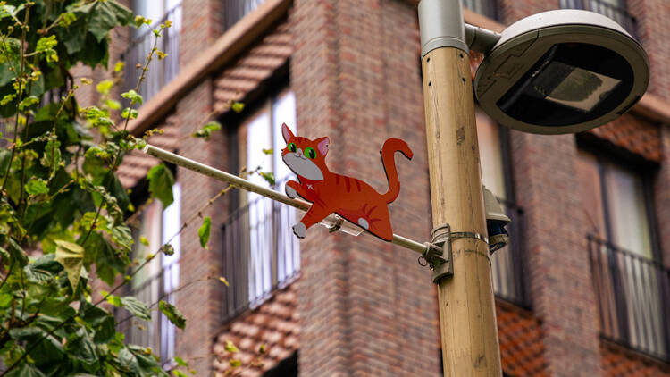 A cat on a lamppost (Photograph: Laura Gallant for Time Out )