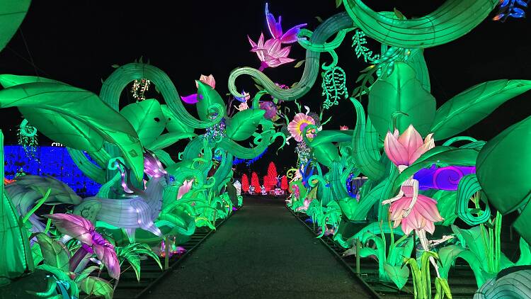 Tianyu Lights Festival