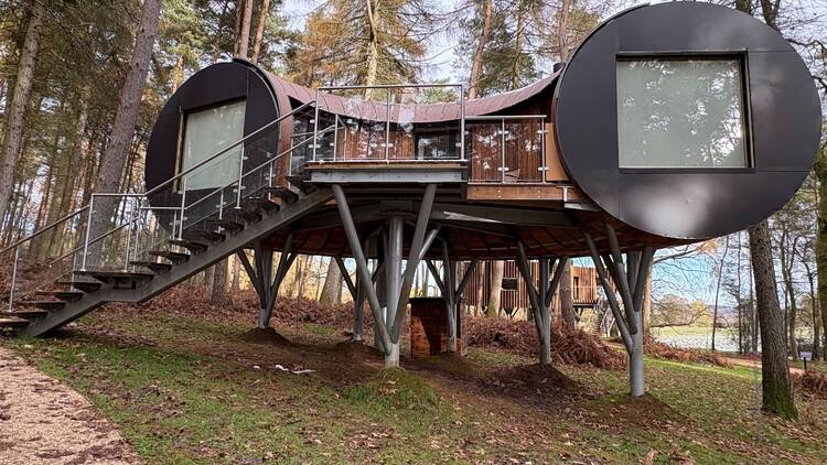 TreeDwellers Cornbury treehouse in the Cotswolds