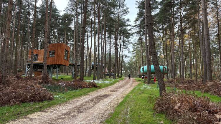 TreeDwellers Cornbury treehouse in the Cotswolds