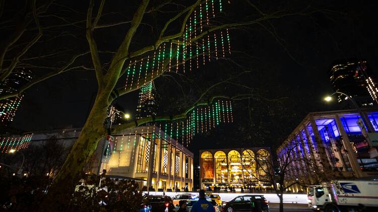 Trees illuminated with green lights.