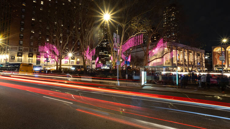 Trees illuminated with pink lights.