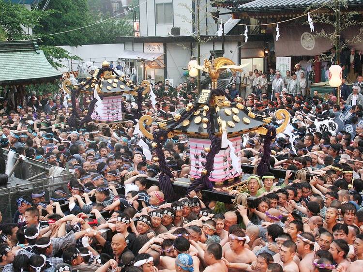 三社祭(宮出し) 三社祭(宮出し)