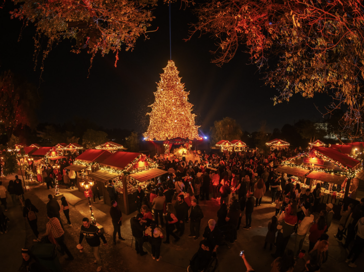 Navidalia Parque Navideño 2024 en Guadalajara