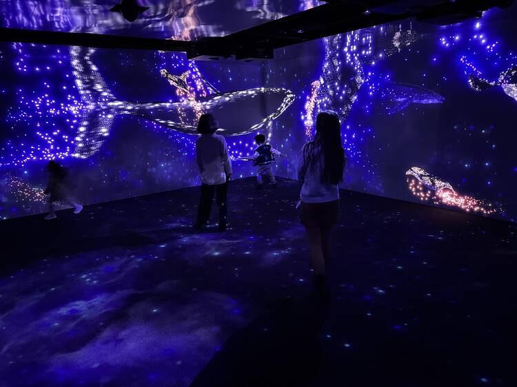 Coisas para fazer em família este fim-de-semana em Lisboa (e arredores)