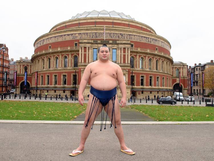 Watch the Royal Albert Hall’s international sumo extravaganza