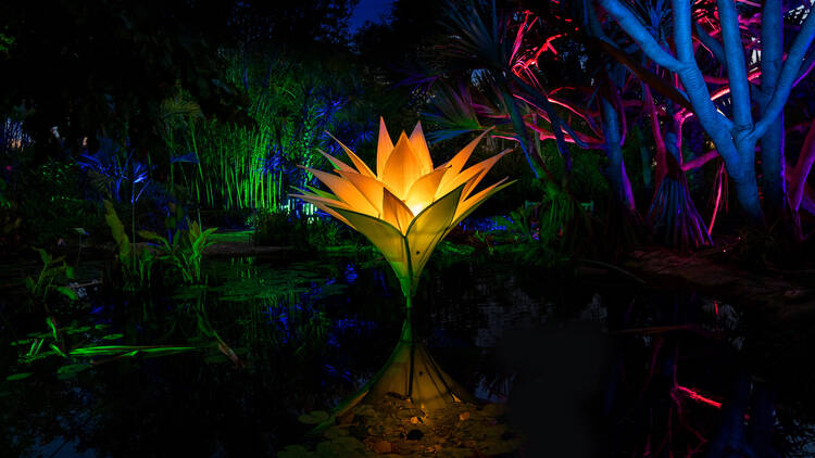 A glowing sculpture of a lily.