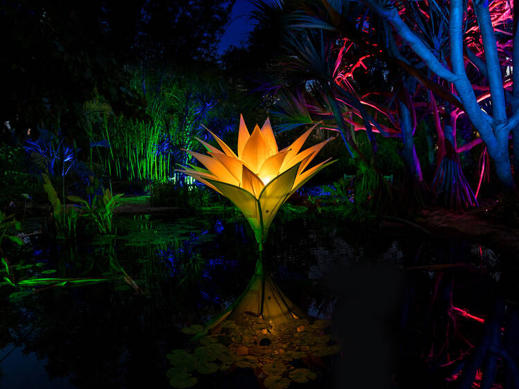 A dazzling new light trail will make its world debut at the Royal Botanic Gardens Cranbourne