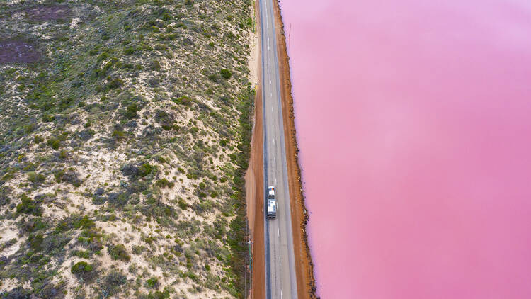 Capture the beauty of the pink lagoons