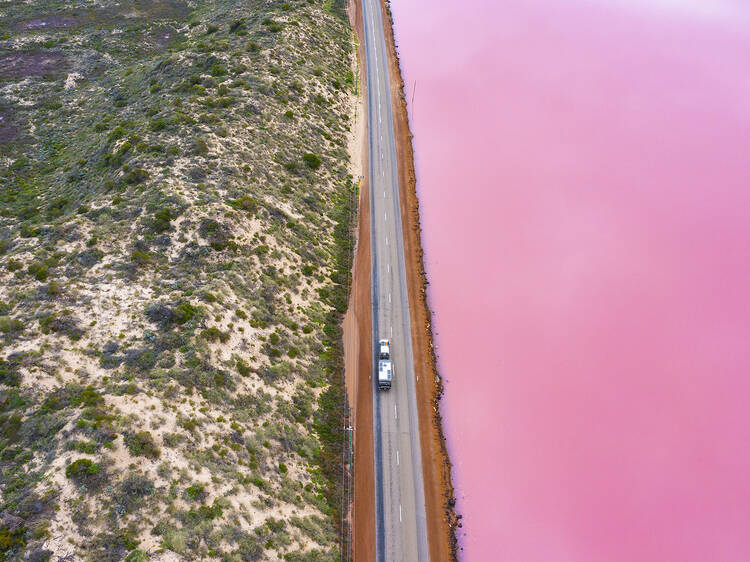 Capture the beauty of the pink lagoons