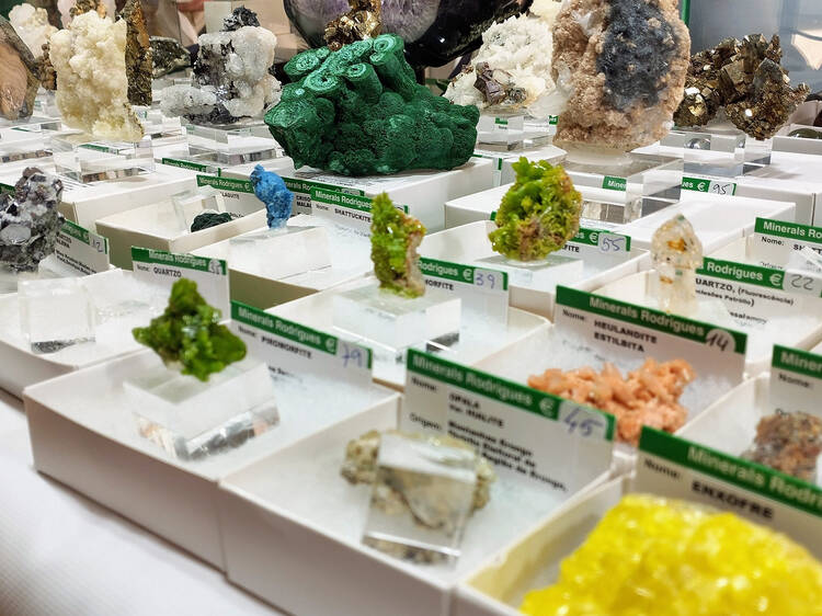 Feira de minerais, gemas e fósseis leva a beleza da matéria à Politécnica