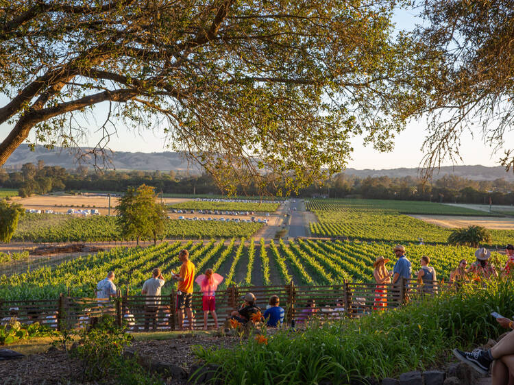 Gundlach Bundschu (Sonoma)