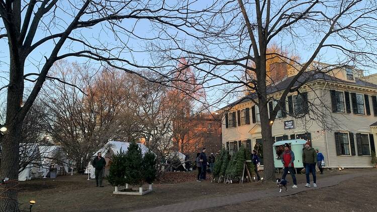The best holiday and Christmas markets to enjoy this winter