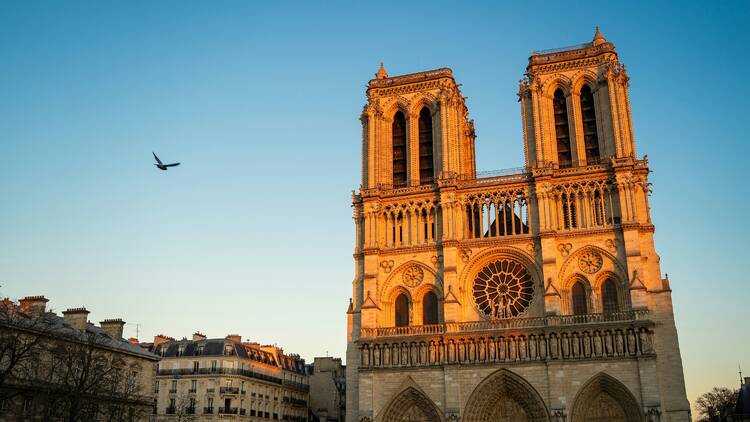 Notre-Dame rouvre enfin ses portes