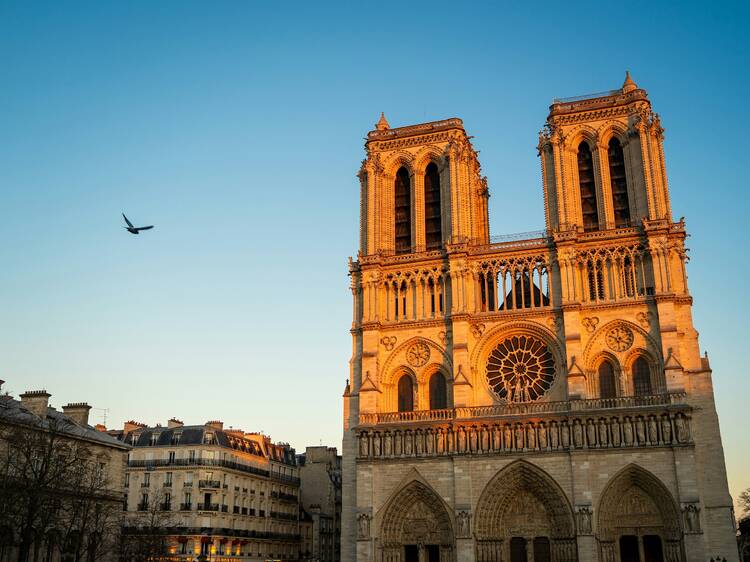 Notre-Dame rouvre (enfin) ses portes ce samedi 7 décembre, cinq ans après l'incendie dévastateur